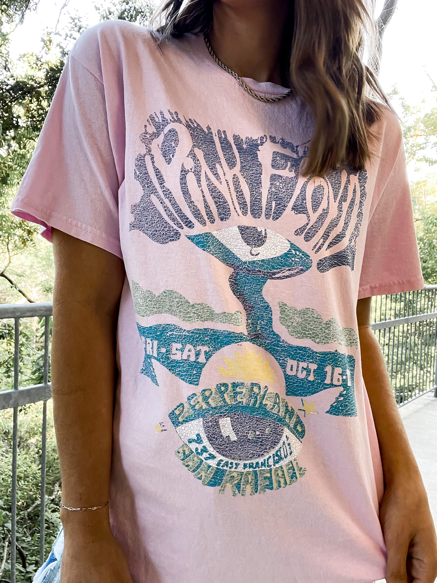 Pink Pink Floyd