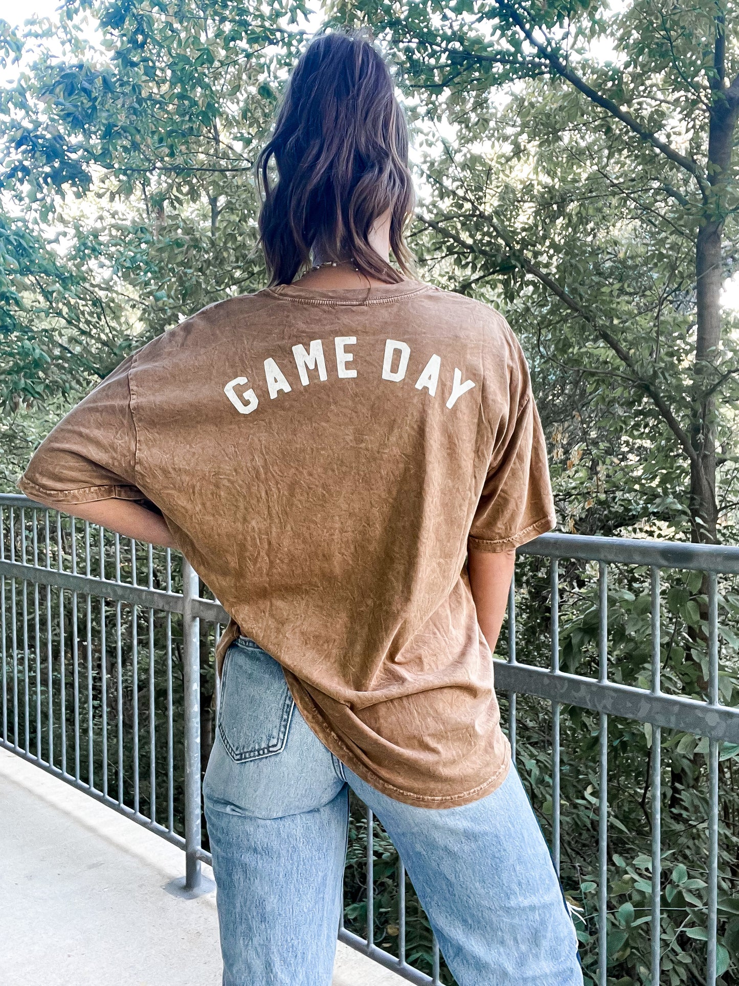 HomeRun GameDay