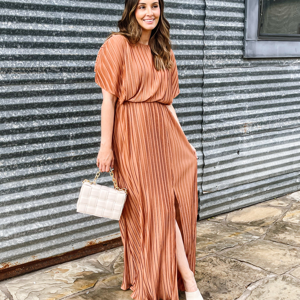 
                      
                        Rose Pleated Maxi Dress
                      
                    